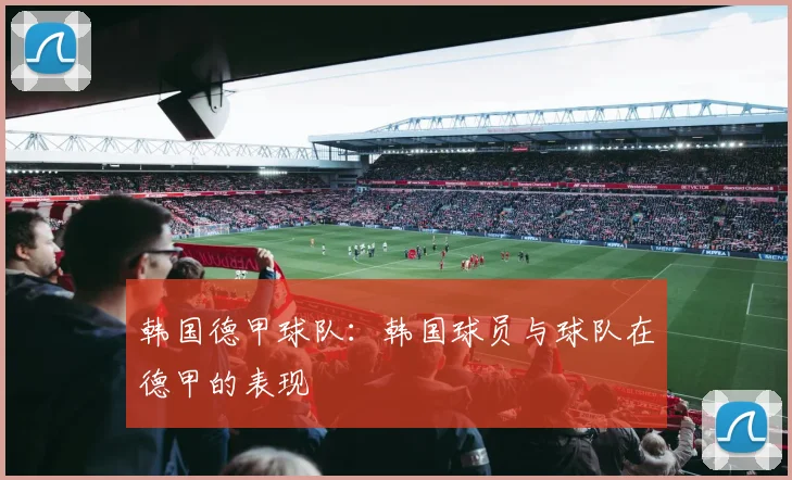 韩国德甲球队:韩国球员与球队在德甲的表现