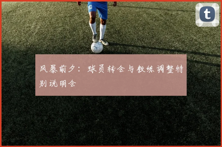 风暴前夕：球员转会与教练调整特别说明会