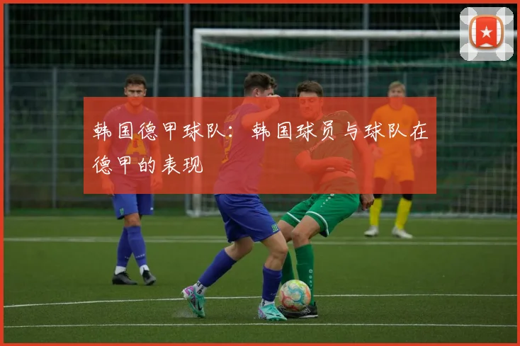 韩国德甲球队:韩国球员与球队在德甲的表现